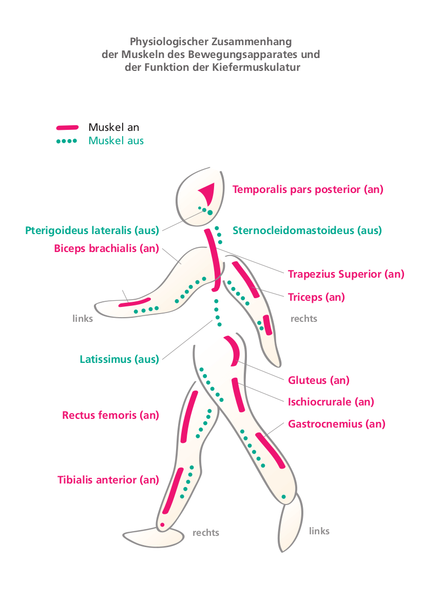 Behandlungskonzept